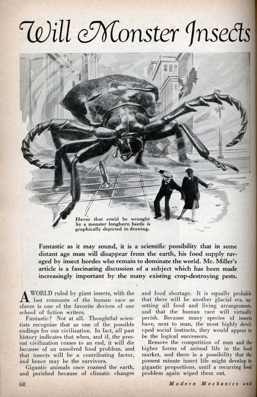 [monster_insects_0.jpg]