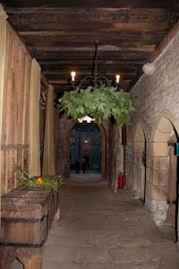 [20091210__MG_7535.jpg]