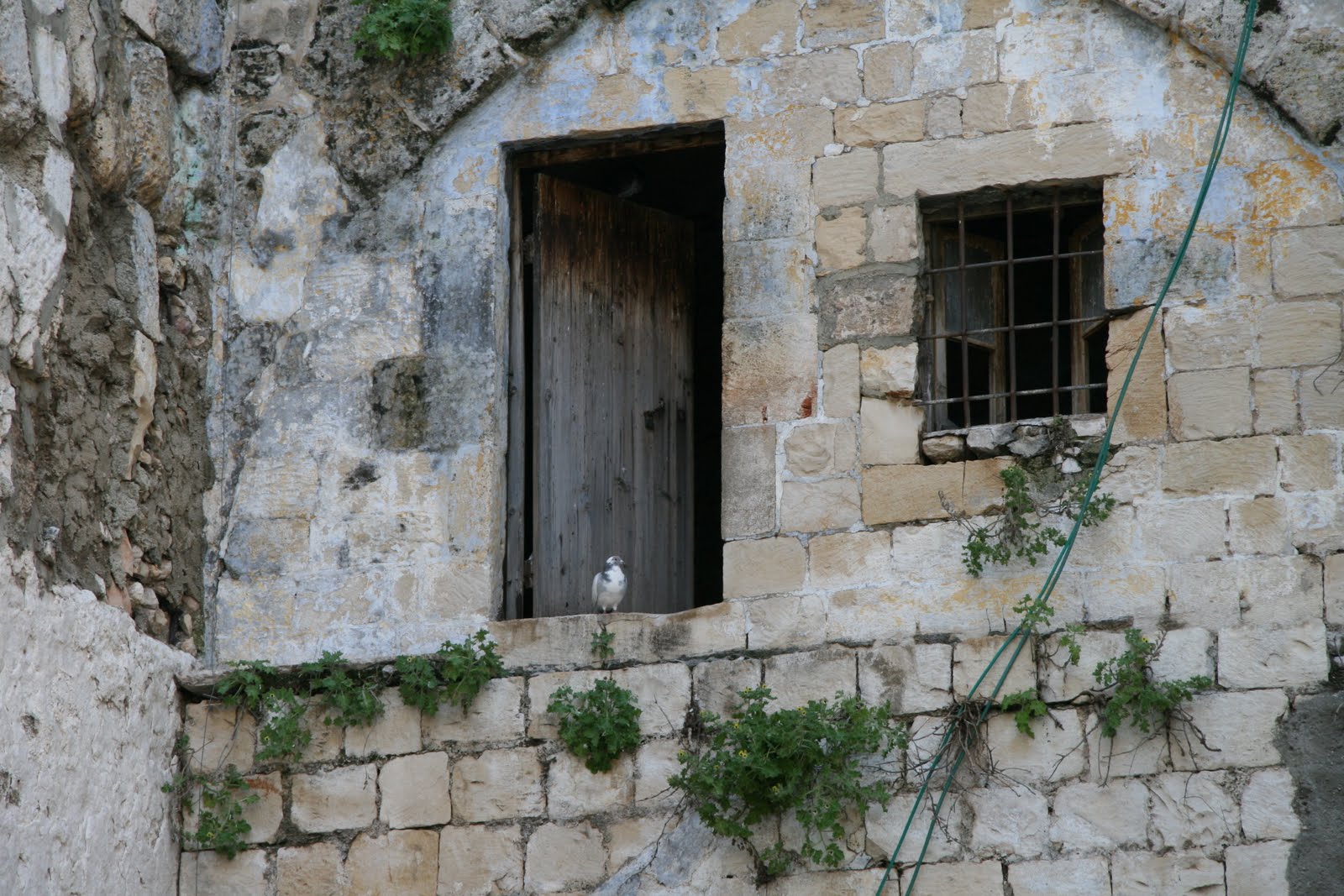 [IMG_7515.JPG]