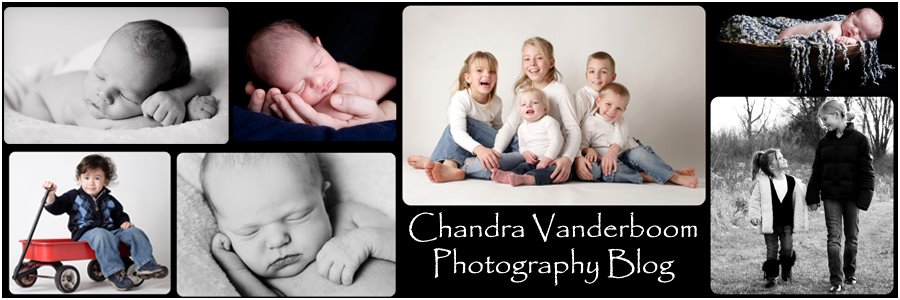 Chandra Vanderboom Photography Blog