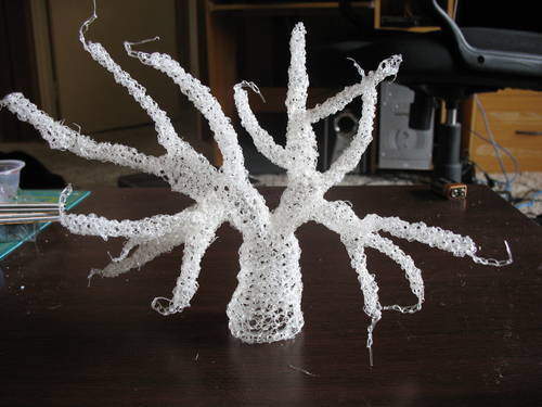 [CokeBottleTree.jpg]