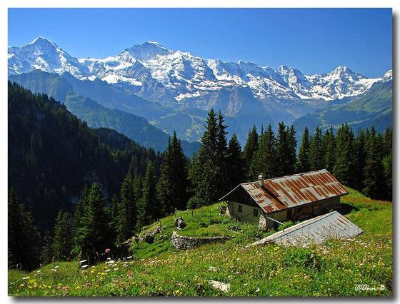 [4196288-Beautiful_Swiss_scenery_near_Interlaken-Interlaken.jpg]