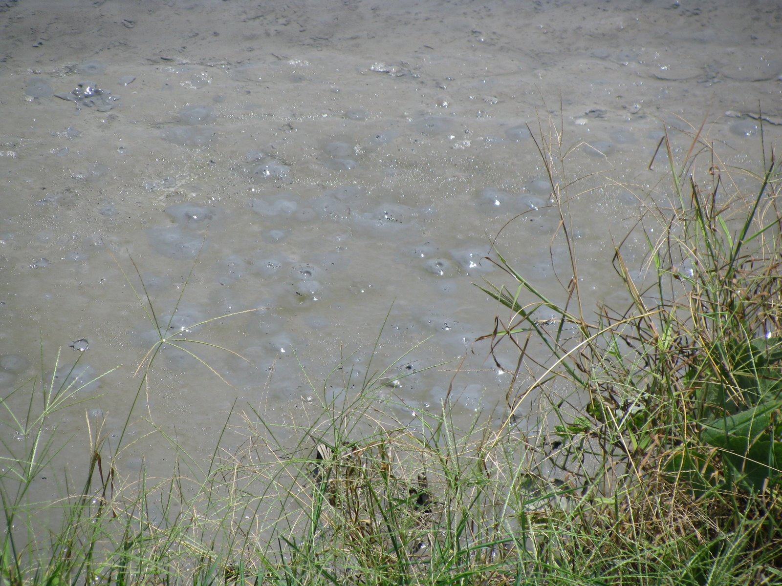 [IMG_5300.JPG]