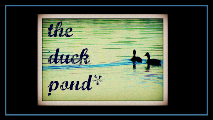 the duck pond*