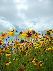 Awake, north wind! Rise up, south wind! Blow on my garden and spread its fragrance. - S of S 4:16