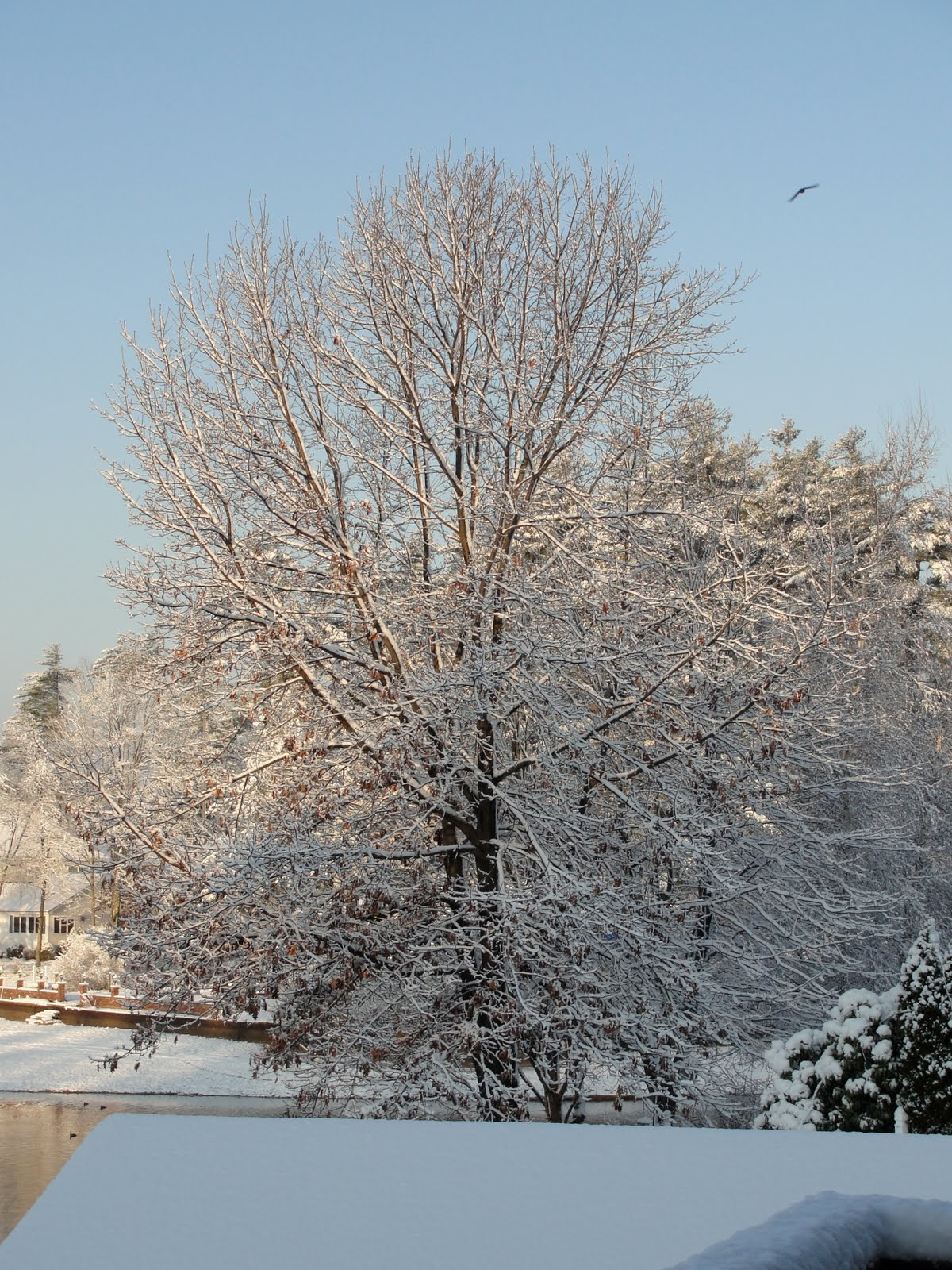 [DSC00655.JPG]