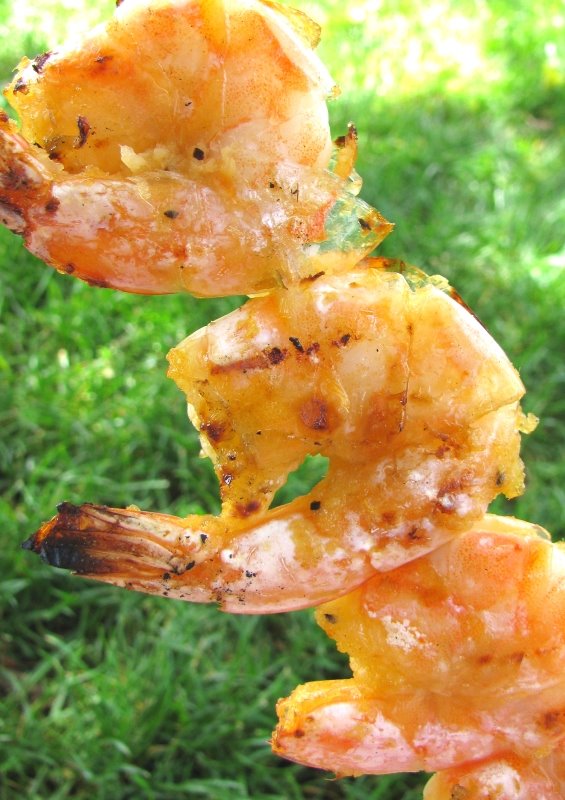 [grilling+shrimp+grass+blog+size.jpg]