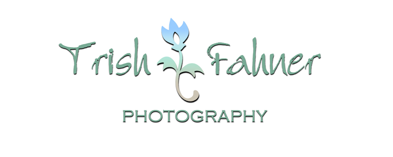 Trish Fahner Photography Newborn Baby Infant Child Childrens Photographer  Melbourne FL 32940
