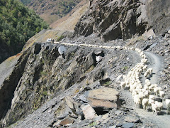 day 8.TUSHETI-KAKHETI.7 hours of driving.