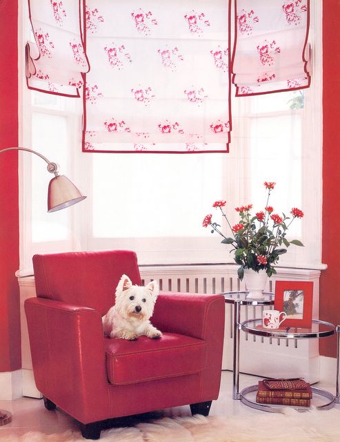 [RED+CARGILLscan0009_1]