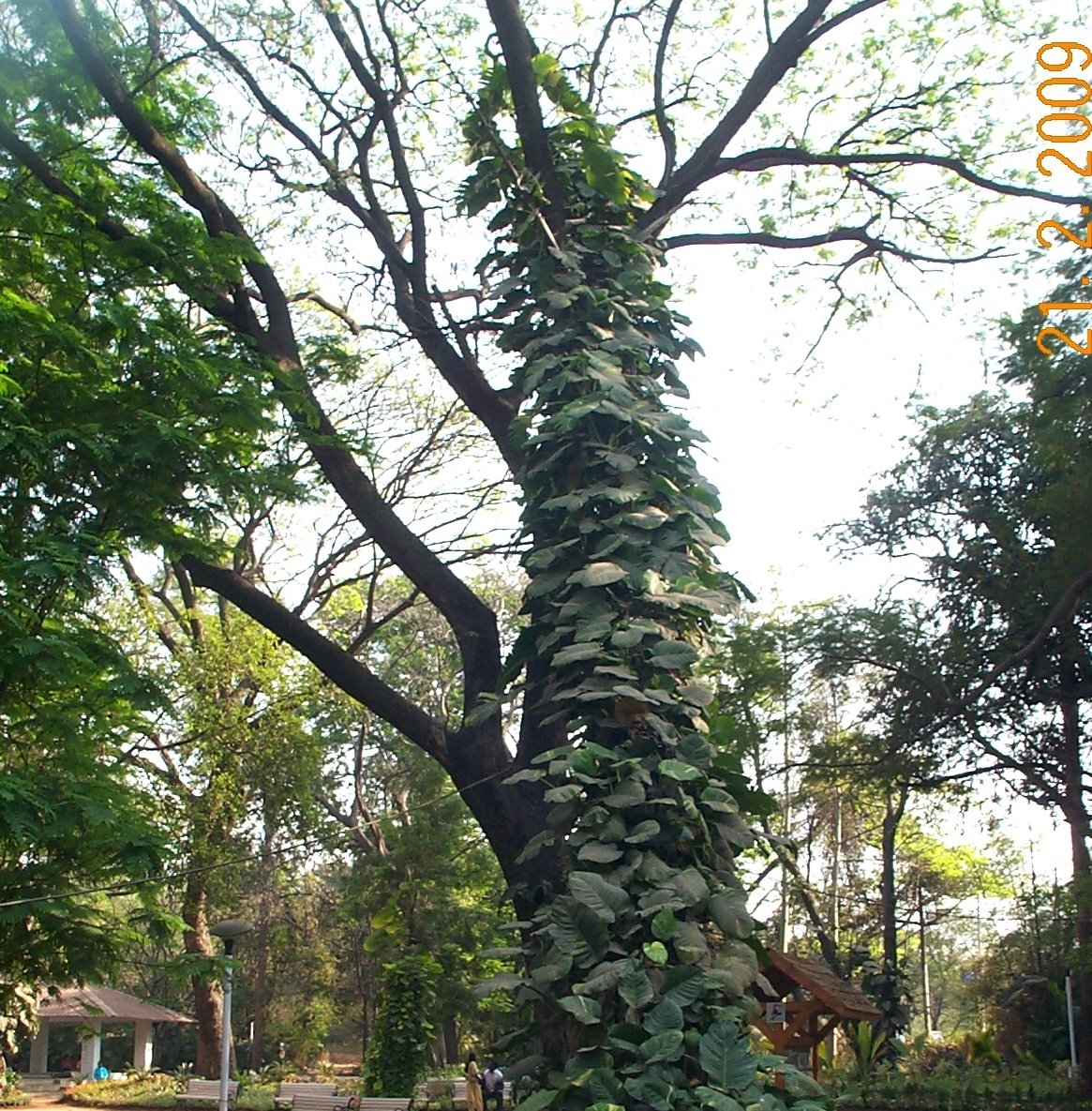 [DCP_2580.JPG]