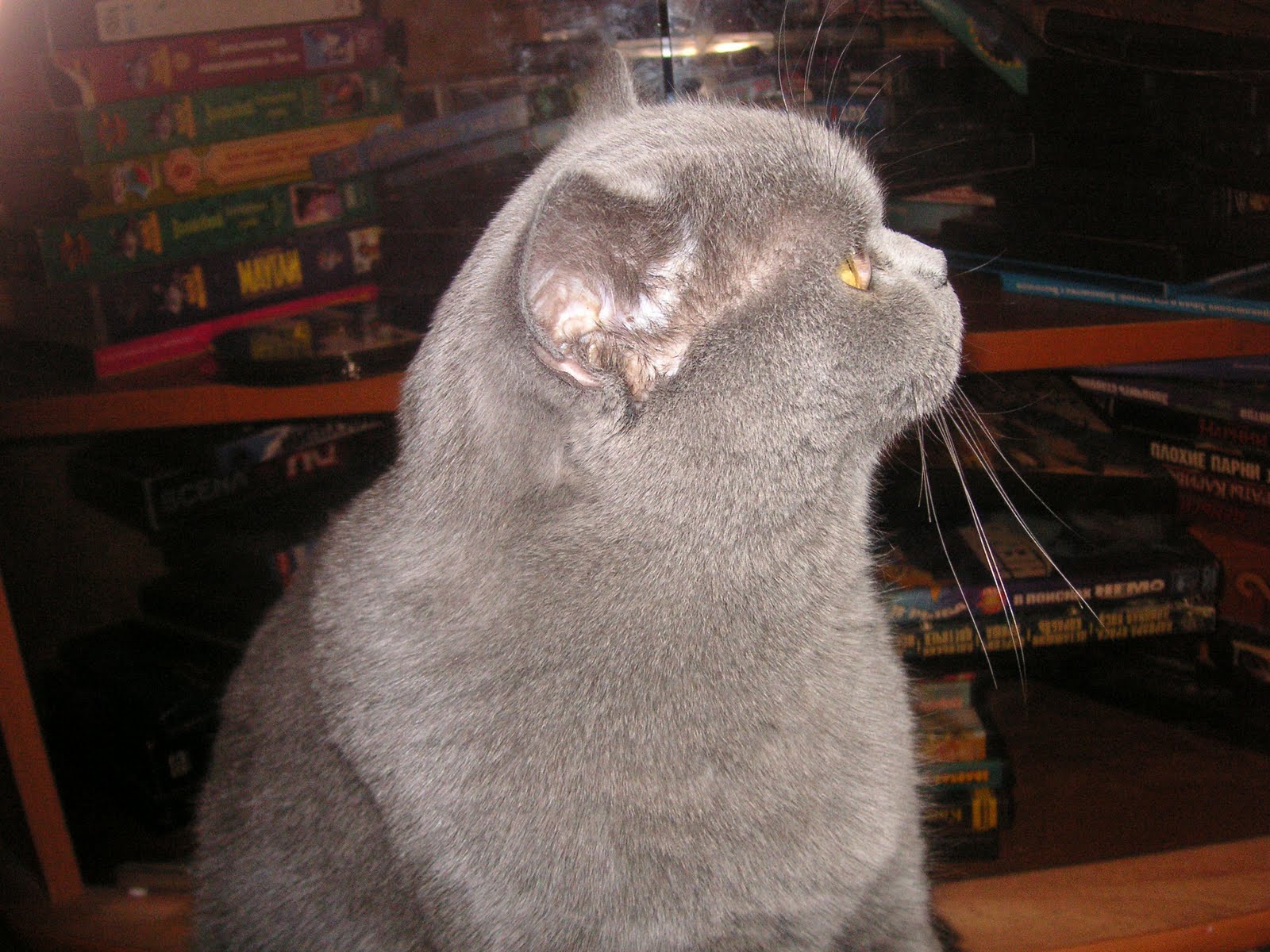 [PICT2356.JPG]
