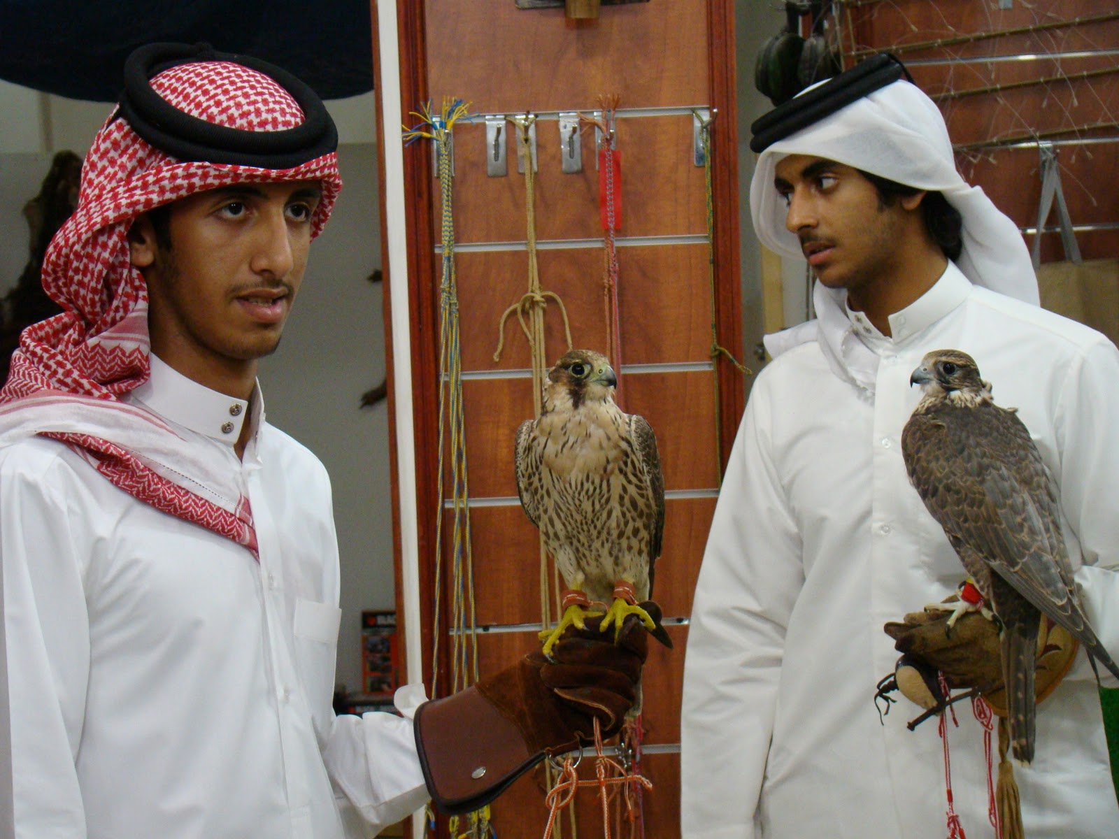 Life In This MultiColor Leisure Suit Qatar