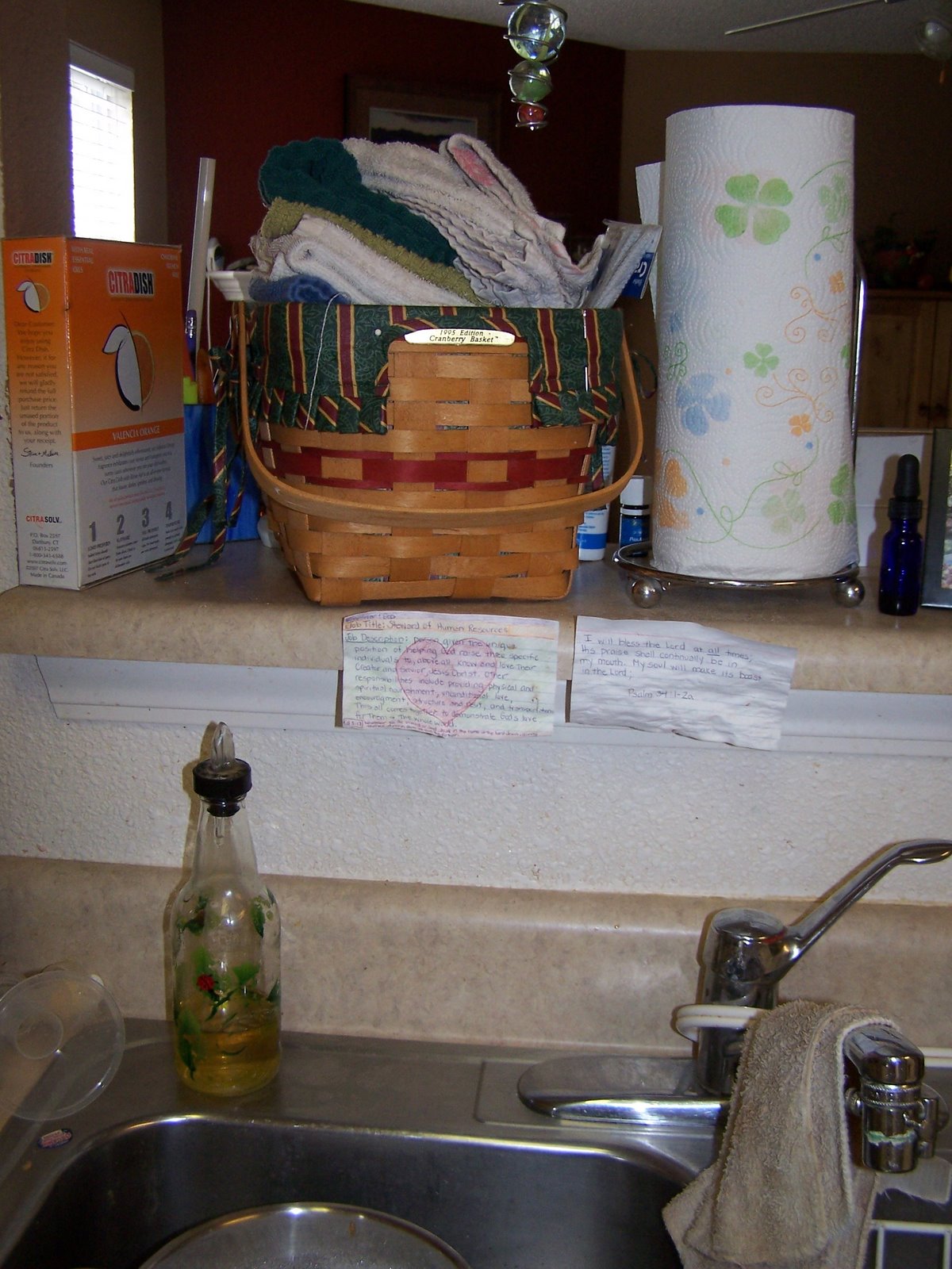 [November+2008+023.JPG]