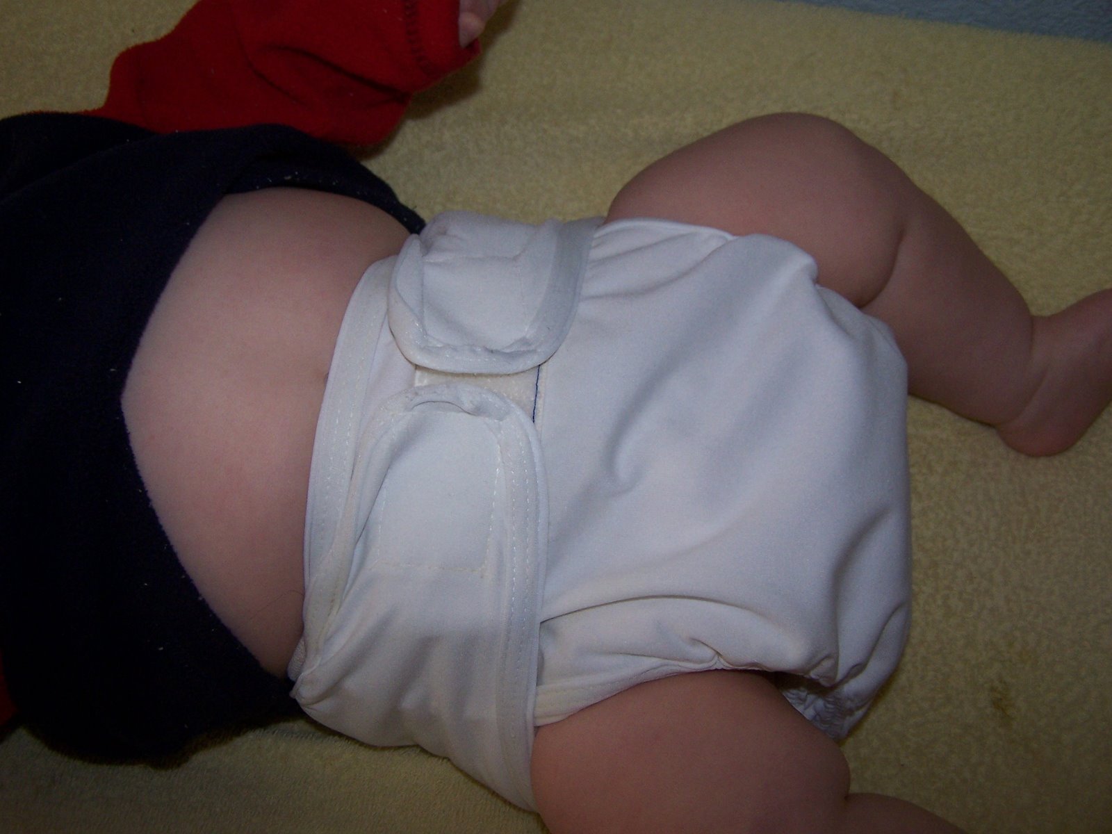 [January+2009+016.JPG]