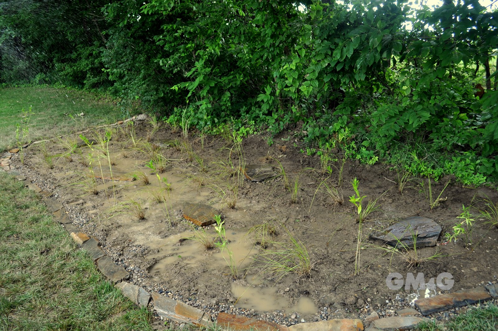 [Garden+and+july+062.JPG]