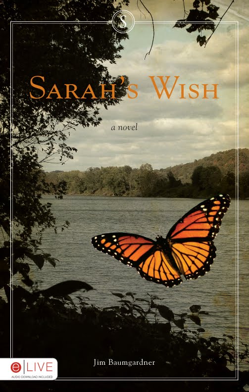 [Sarah's+Wish-Book+Cover.BMP]