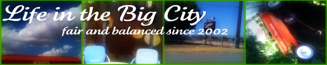 Life in the Big City