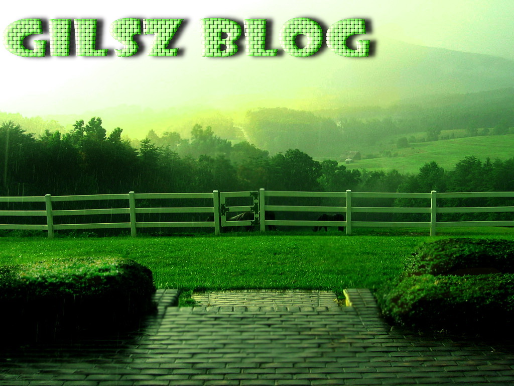 Gilsz Blog™