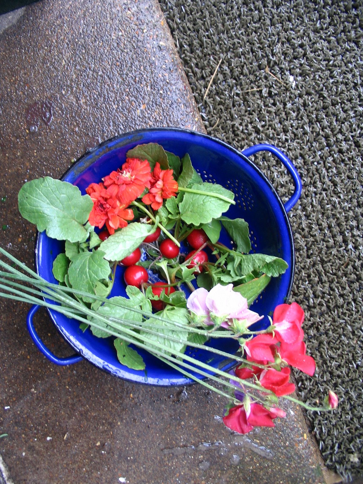 [Harvist+of+Radish,+sweetpeas+and+nasturtium+flowers.JPG]