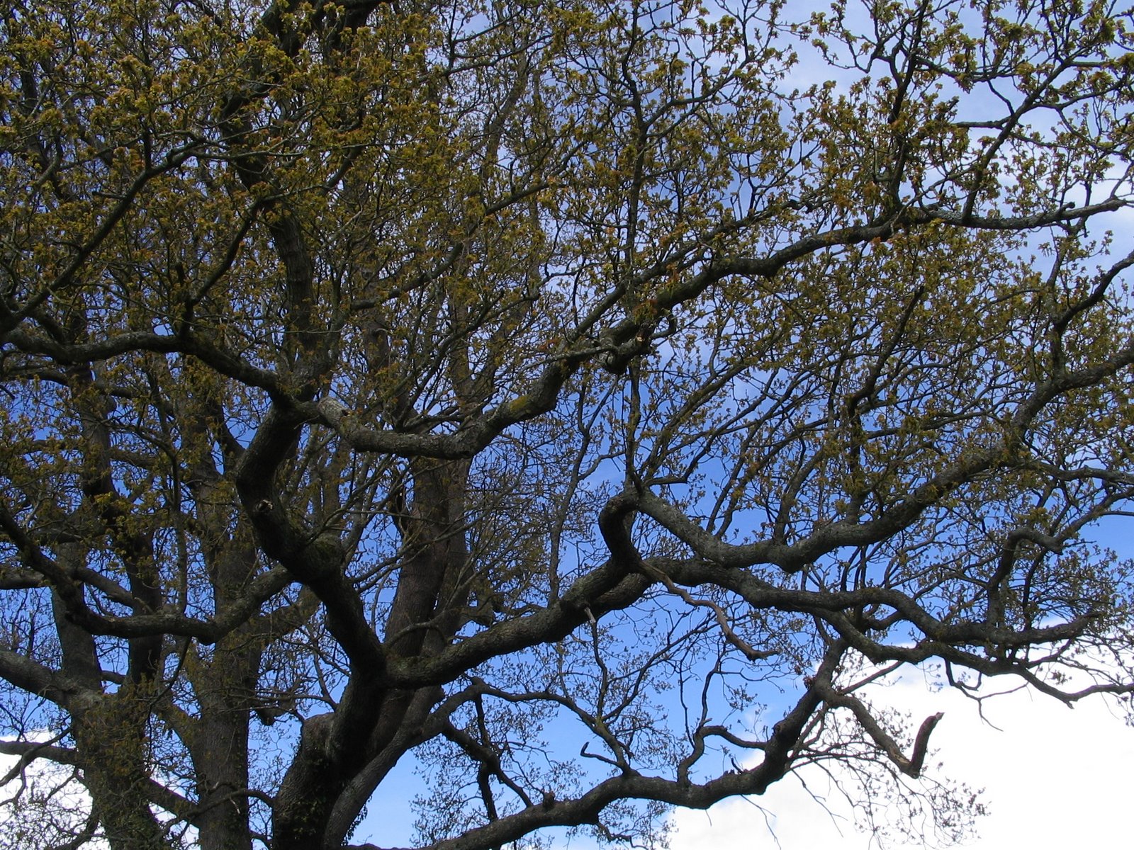 [IMG_2458.JPG]