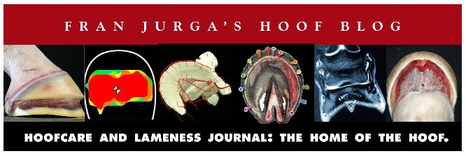 Fran Jurga`s Hoof Blog: Up-to-the Minute News from Hoofcare & Lameness Journal
