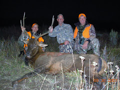 My first colorado elk