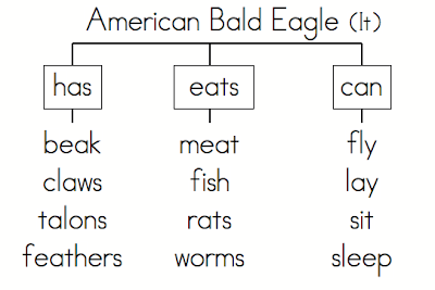 Eagle Chart