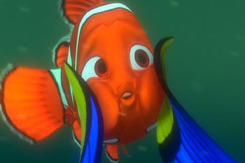 [nemo.bmp]