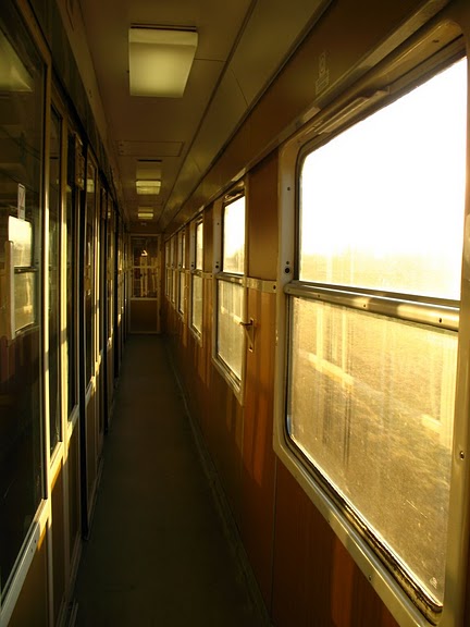 [IMGP0356.JPG]