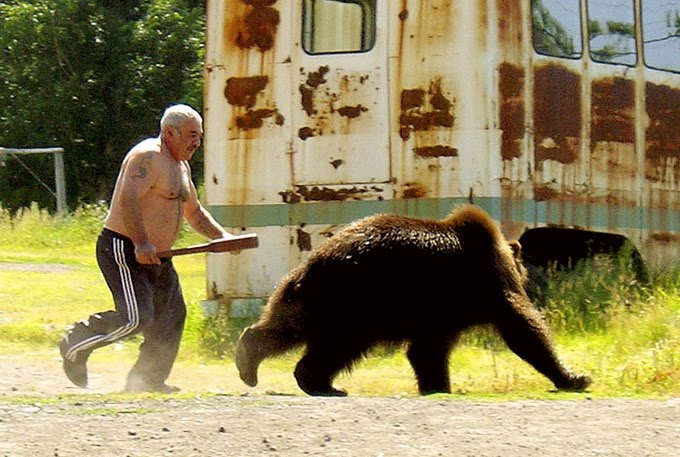 Man+Chasing+Bear+With+Bat.jpg