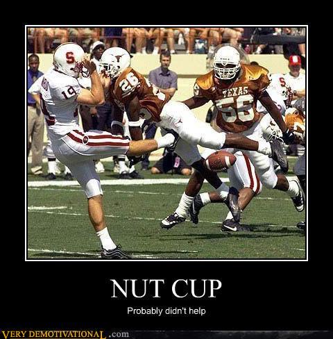 Nut Cup