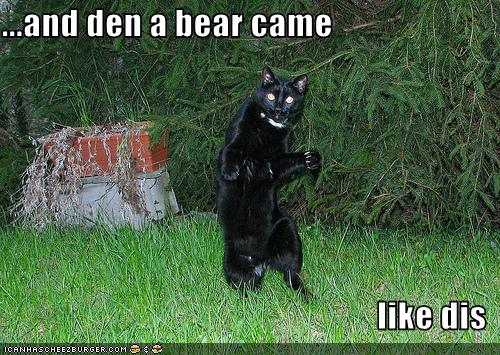 ...and den a bear came like dis