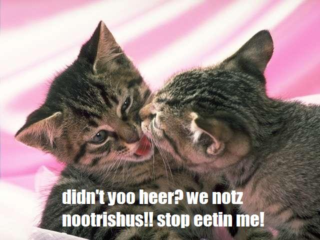 didn't yoo heer? we notz nootrishus!! stop eetin  me!