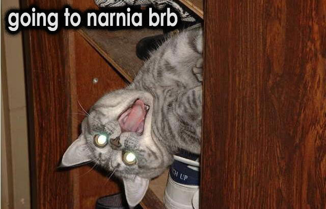 going to narnia brb