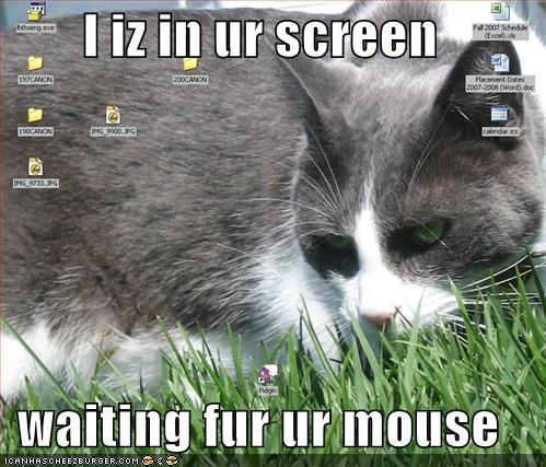 iz screen waiting fur mouse