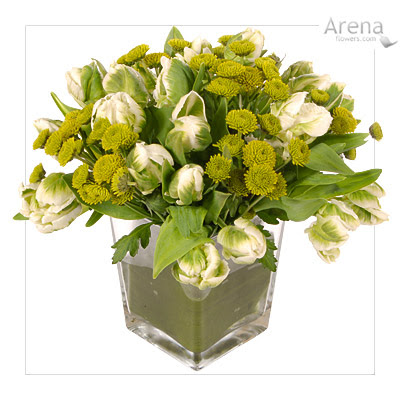 Decorations Wedding on Green Wedding Decorations Wedding Decor Ideas