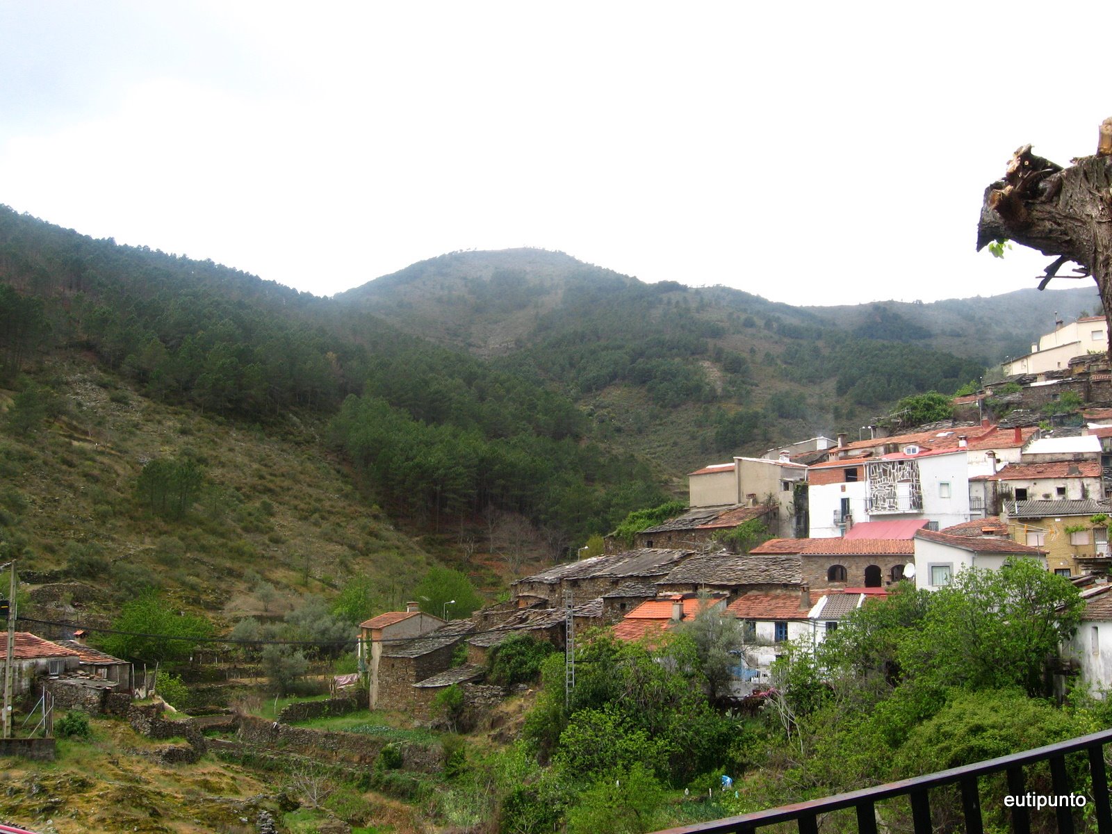 [IMG_3737.JPG]