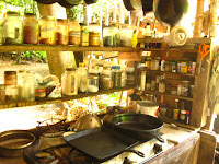 Todo Masa Cooking At The Cob Cottage Company