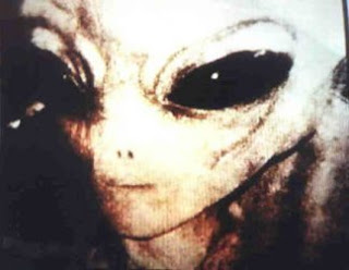 Lista de razas extraterrestres  Aliendude