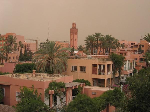 What's That Song About?