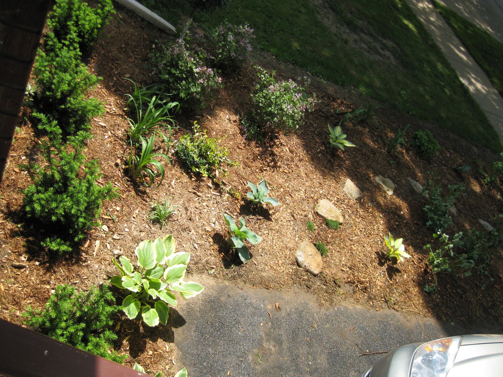 [IMG_0224.JPG]