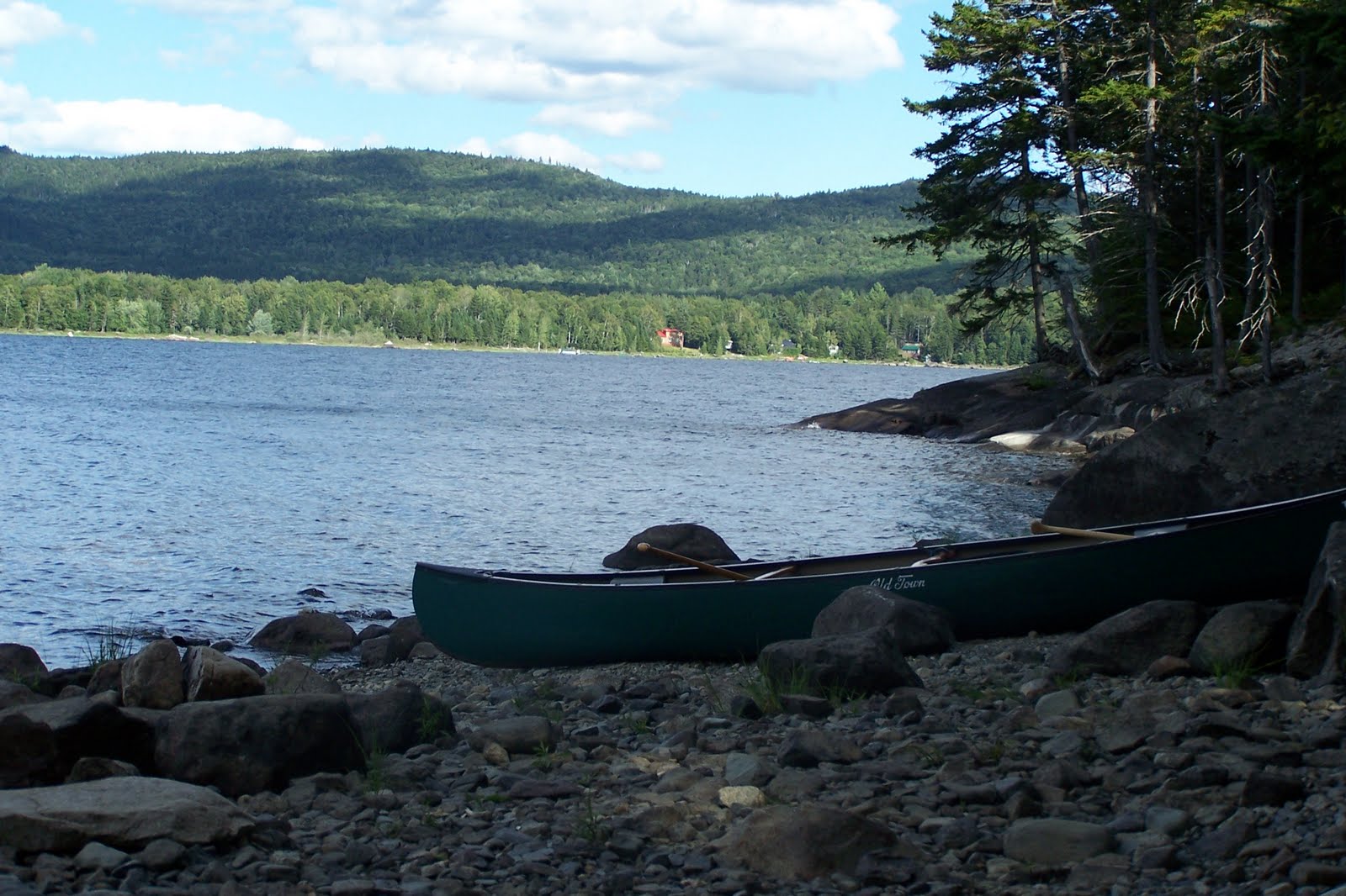 Moxie's Great Adventures Aziscohos Lake for Moxie's Birthday
