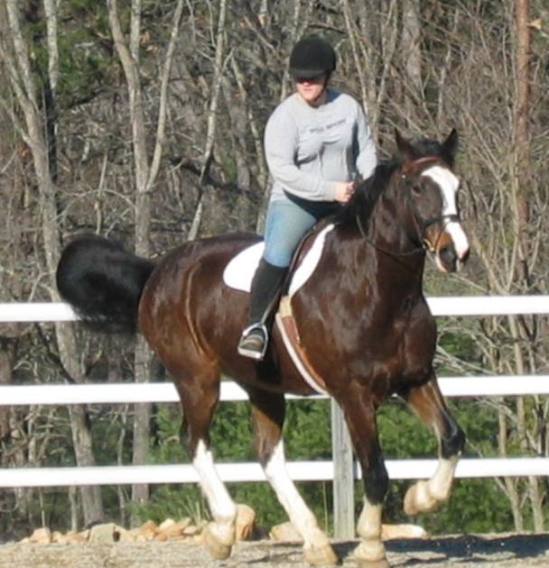 Ü Mounted Ü • Horseback Riding How To Canter Or Lope