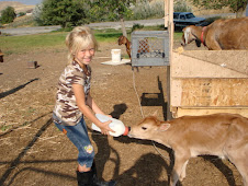 Amira feeding our new baby