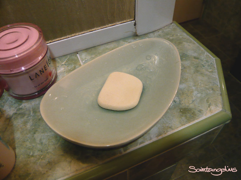 [daiso-spongecleaner04.jpg]