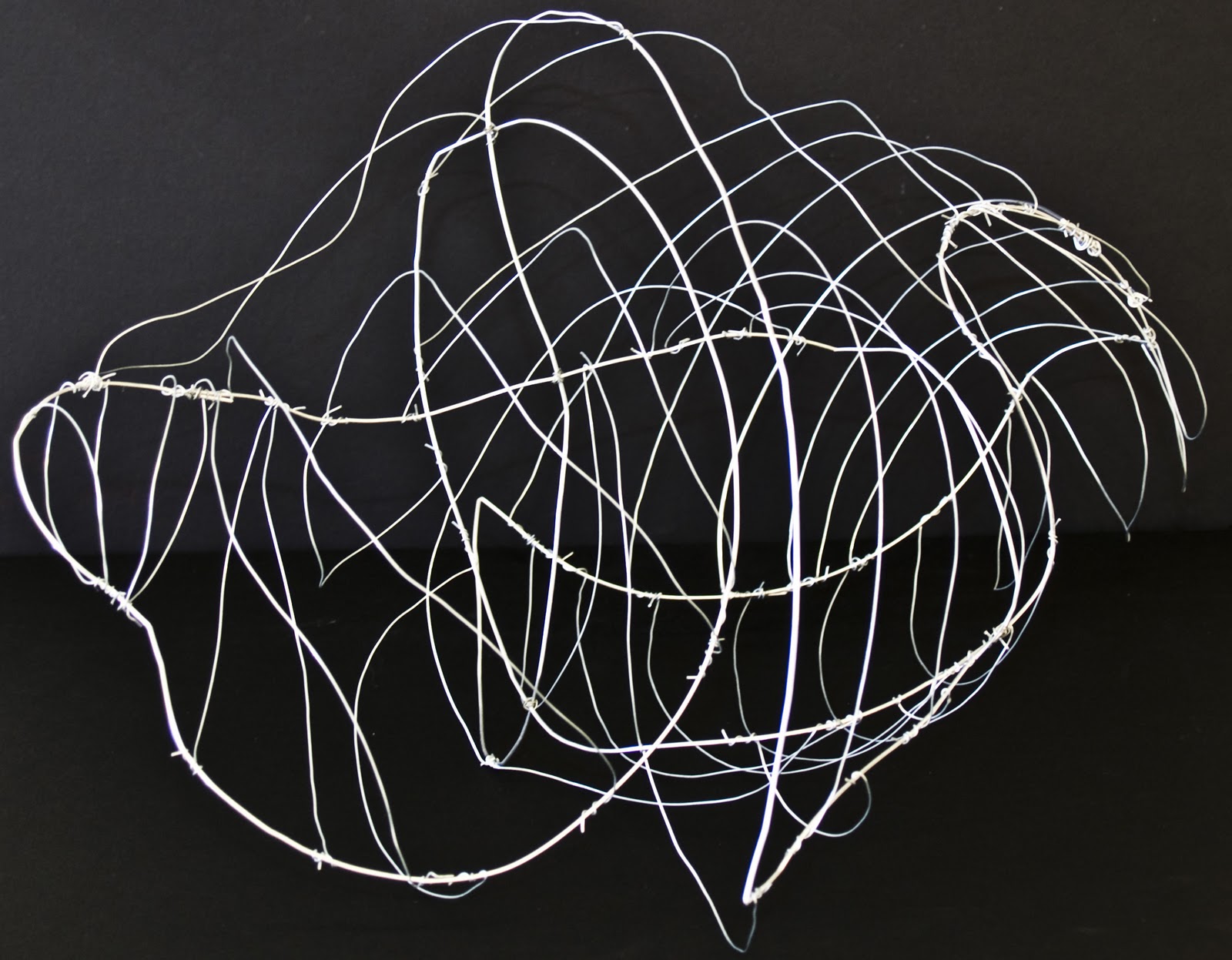 Digital Portfolio Abstract Wire Sculpture