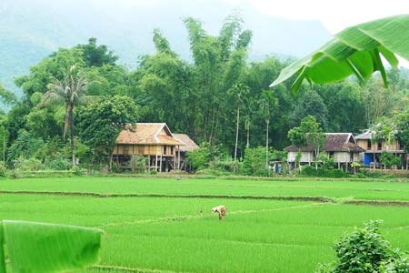 Countryside - Vietnam