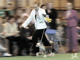 [cleo_running.jpg]
