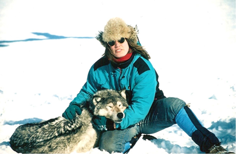 [WolfStudy.jpg]